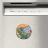 Aimant Chameleon voilé (In Situ (Lave-vaisselle))