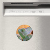 Aimant Chameleon voilé (In Situ (Lave-vaisselle))