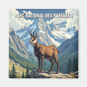 Aimant Chamois en France Parc national des Pyrénées Voyag