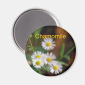 Aimant Chamomile (Recto/Verso)