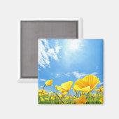 Aimant Champ Corn Poppy (Recto/Verso)