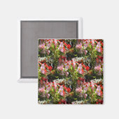 Aimant Champ de Begonias..... (Recto/Verso)