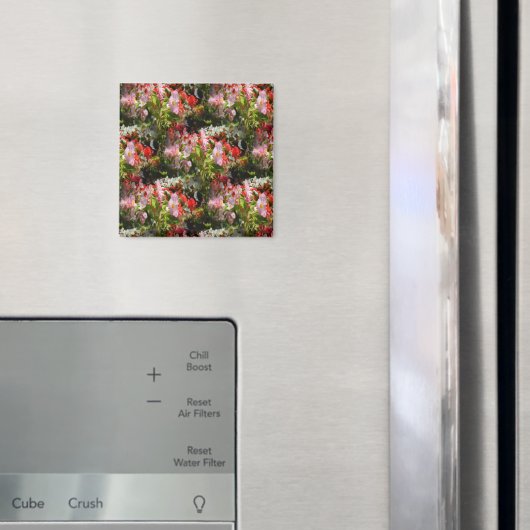 Aimant Champ de Begonias..... (In situ (réfrigérateur))