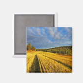 Aimant Champ de blé après récolte (Recto/Verso)