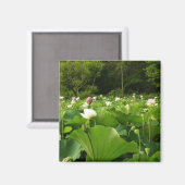 Aimant Champ de fleurs de Lotus Jardin d'été (Recto/Verso)