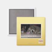 Aimant champ de nom force (Recto/Verso)