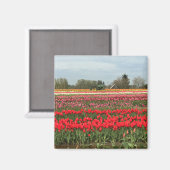 Aimant Champ de tulipe avec tracteur et grange (Recto/Verso)