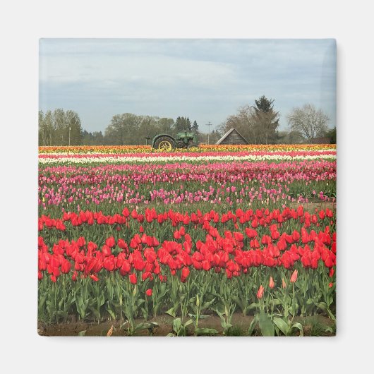 Aimant Champ de tulipe avec tracteur et grange (Devant)