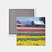 Aimant Champ de tulipes (Recto/Verso)