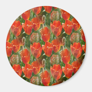 Aimant Champ de tulipes.....