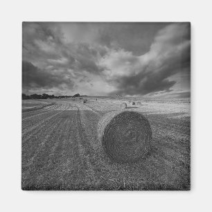 Aimant Champ d'orge de B&W