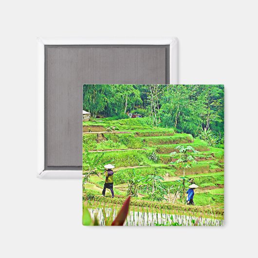 Aimant Champ indonésien de riz (Recto/Verso)
