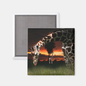 Aimant Champ scolaire africain (Recto/Verso)