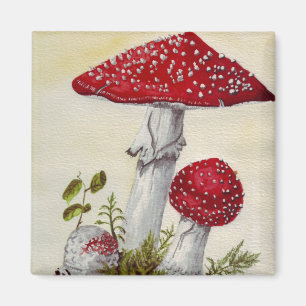 Aimant Champignon