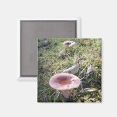 Aimant Champignon Russula du Nord-Ouest du Pacifique (Recto/Verso)