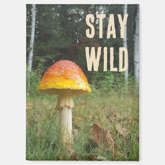 Aimant champignon Stay Wild (Recto)