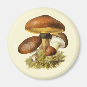 Aimant Champignon Vintage Brown