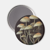 Aimant Champignons (Recto/Verso)