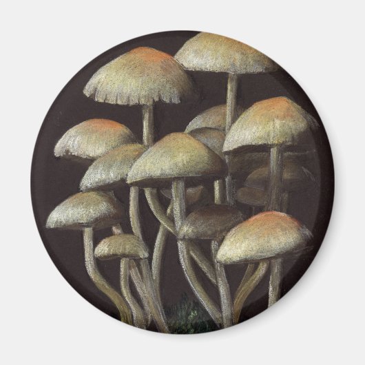 Aimant Champignons (Devant)