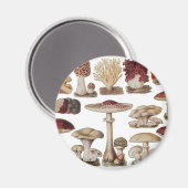 Aimant Champignons botaniques vintages (Recto/Verso)