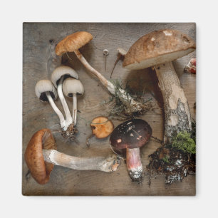Aimant Champignons d'amour des champignons