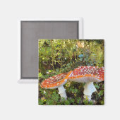 Aimant Champignons de contes Fairytale (Recto/Verso)
