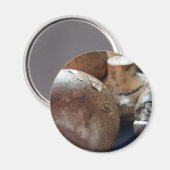 Aimant Champignons de Crimini (Recto/Verso)