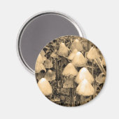 Aimant Champignons en Sepia (Recto/Verso)