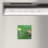 Aimant Champignons jaunes minuscules (In Situ (Lave-vaisselle))