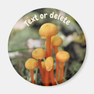 Aimant Champignons Orange Nature Personnalisés