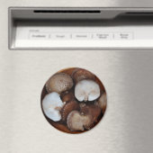 Aimant Champignons Shitake (In Situ (Lave-vaisselle))