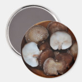 Aimant Champignons Shitake (Recto/Verso)