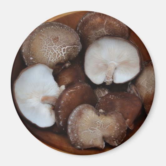 Aimant Champignons Shitake (Devant)