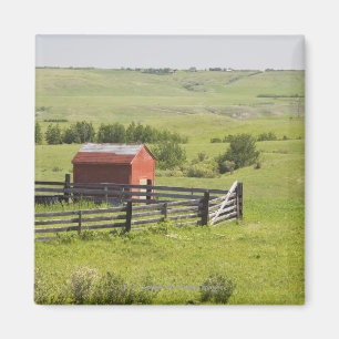 Aimant Champs de pâturage avec Shack rouge et un secteur