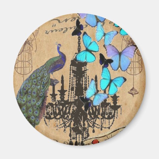 Aimant chandler vintpeacock blue butterflfly (Devant)