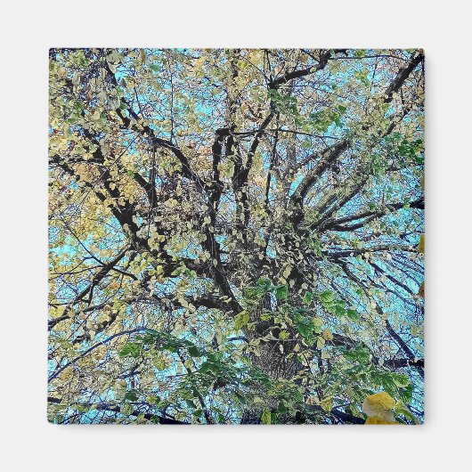Aimant Changement dans les feuilles (Devant)
