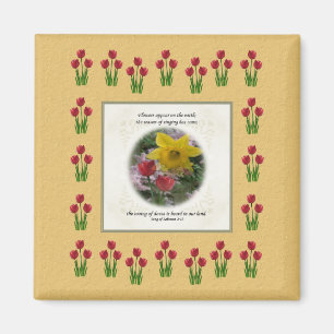 Aimant Chanson de 2h12 de Solomon