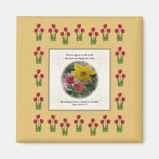 Aimant Chanson de Salomon 2:12 (Devant)