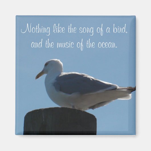 Aimant Chanson d'un oiseau, Musique de l'Ocean Seagull Ma (Devant)