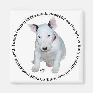 Aimant Chansons pour chiots Bull Terrier
