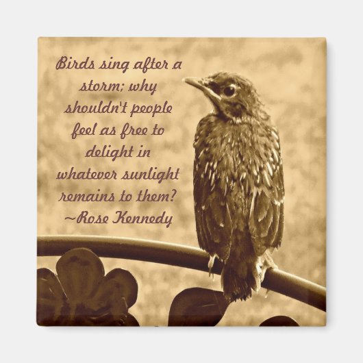 Aimant Chanter après la tempête (Devant)