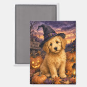 Aimant Chapeau de sorcière Goldendoodle Citrouille (Recto/Verso)