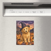 Aimant Chapeau de sorcière Goldendoodle Citrouille (In Situ (Lave-vaisselle))