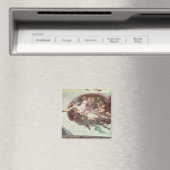 Aimant Chapelle Sixtine Plafond (In Situ (Lave-vaisselle))