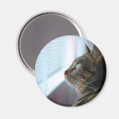 Aimant Chaque Kitty contemple dehors (Recto/Verso)