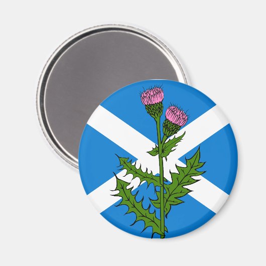 Aimant Chardon écossais (Recto/Verso)