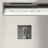 Aimant Charles Baudelaire, 1898 (In Situ (Lave-vaisselle))