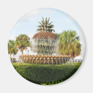 Aimant Charleston SC Pineapple Fountain, Waterfront Park