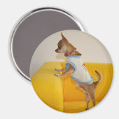 Aimant Charlie Chihuahua (Recto/Verso)