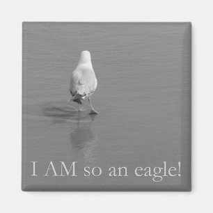 Aimant Charlie la mouette seule - je suis ainsi un aigle